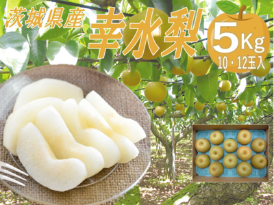 幸水梨５kg箱(10玉または12玉)