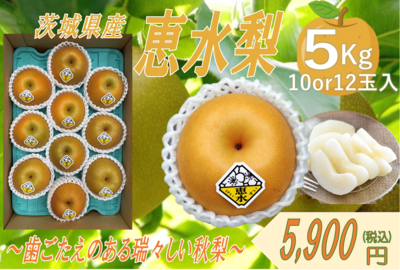 恵水梨５kg箱(１０玉~１２玉)