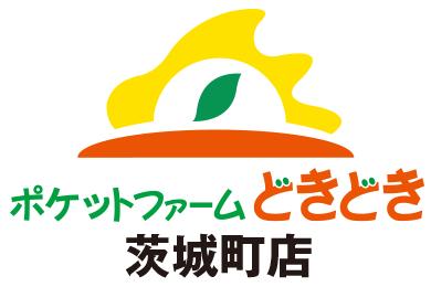 どきどきギフトショップ