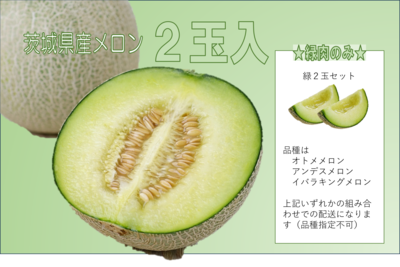 【特秀】　緑肉のみ！　メロン３Lサイズ２玉入