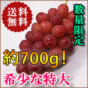 特大クイーンルージュ　秀品(約700g)　1房【数量限定】