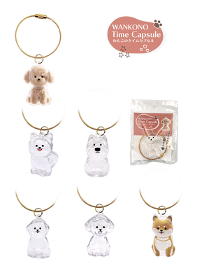 キッズ わんこのタイムカプセル　12個×75円＋税