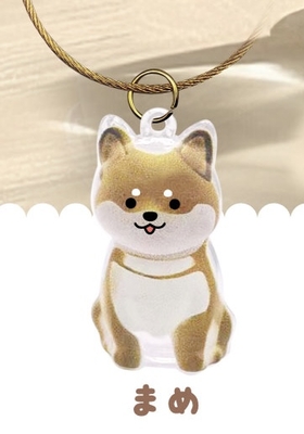 わんこのタイムカプセル