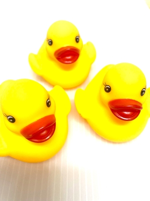 うきうき アヒル(大）50入