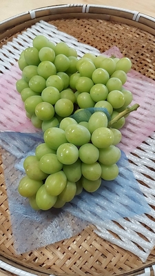 シャインマスカット（小~中）3～4房