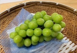 シャインマスカット(2房) 1.4㎏程度
