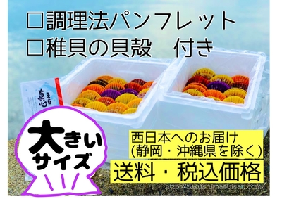 緋扇貝 大 １２個入(福島水産) 