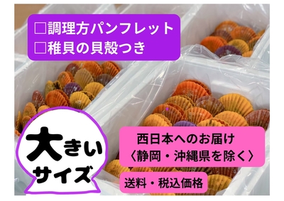 緋扇貝 大 ２４個入(福島水産) 