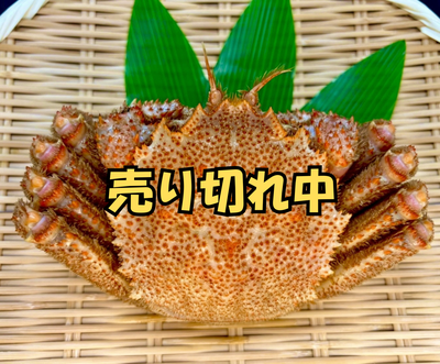 室蘭産　ボイル毛ガニ1杯（売り切れ）