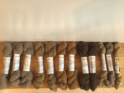 Elizabeth Johnston手紡ぎ手染め糸セット
