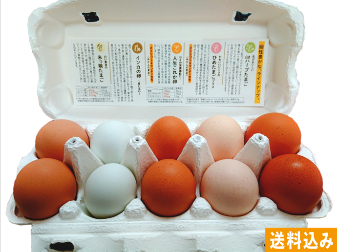 5種のアソート 4パックセット【イヨエッグ】 | 愛媛いいもの！マルシェ