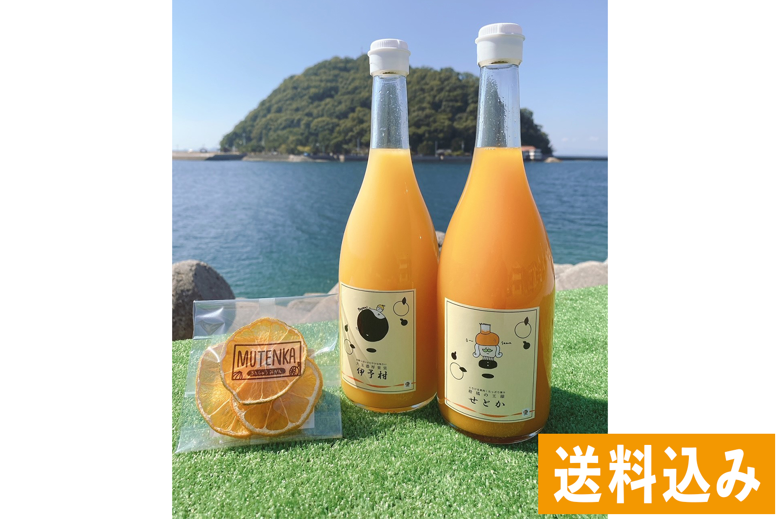 きりぬき 伊予の香りセット 伊予柑 せとかジュースセット 愛媛 いいもの マルシェ