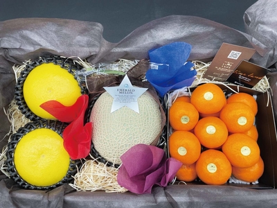 〈土佐の極み〉Limeland vif ゴールデンギフト