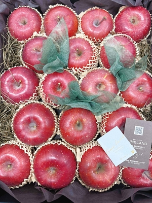 〈青森産〉高糖度サンふじりんご