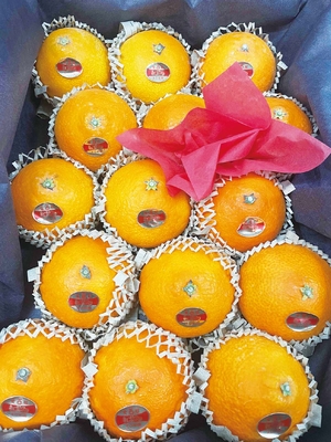 〈愛媛産〉紅まどんな