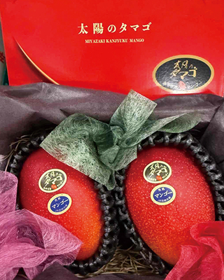 〈宮﨑産〉太陽のタマゴ