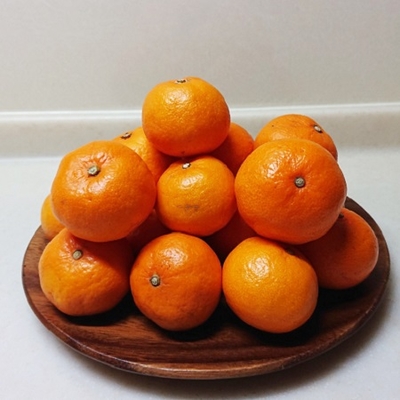 温州みかん　田崎みかん農園の「興津早生」袋がけ訳あり5kg入り