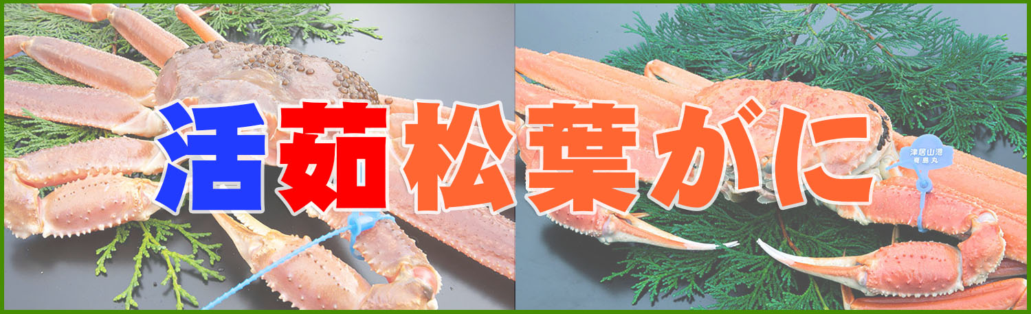 活茹松葉がに
