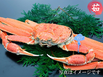 特上茹松葉がに10,000円クラス