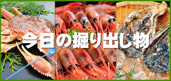 本日の掘り出し物