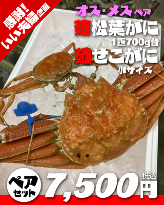 【いい夫婦特集】茹松葉がに700g台1匹&times;茹せこがに小サイズ1匹ペア【本日の掘り出し物】