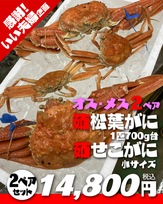 【いい夫婦特集】茹松葉がに700g台2匹&times;茹せこがに小サイズ2匹2ペア【本日の掘り出し物】