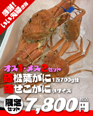 【いい夫婦特集】茹松葉がに700g台1匹&times;茹せこがに小サイズ2匹せこ大好きセット【本日の掘り出し物】