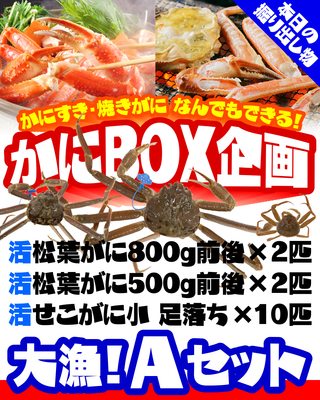 【かにBOX企画】大漁！Ａセット／活松葉800g＋活松葉500g＋活せこ小【本日の掘り出し物】