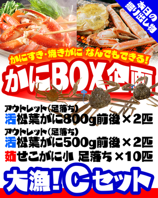 【かにBOX企画】大漁！Ｃセット／活松葉足落ち800g＋活松葉足落ち500g＋茹せこ小【本日の掘り出し物】