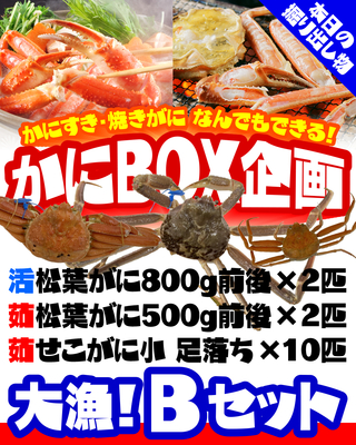 【かにBOX企画】大漁！Ｂセット／活松葉800g＋茹松葉500g＋茹せこ小【本日の掘り出し物】