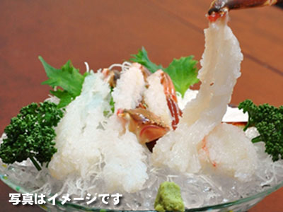 調理済 松葉かに刺し
