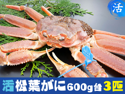 大人数なら「３匹」購入ページ！活松葉がに三昧！