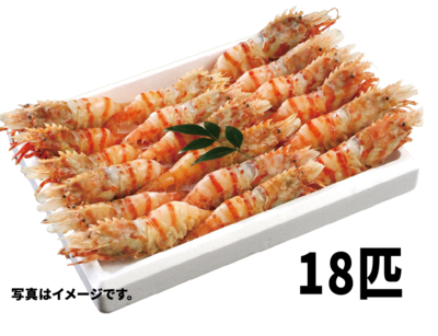 オニエビ　18匹