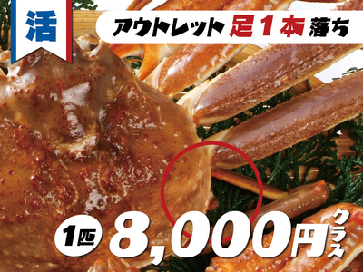 活松葉かに（足１本落ち）