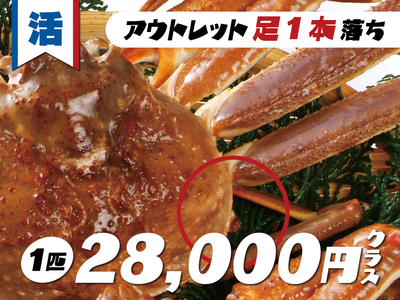 活松葉かに（足１本落ち）28,000円クラス＜2025.11.21時点：サイズ、色形、選別の相場による＞