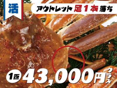 活松葉かに（足１本落ち）