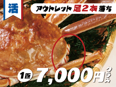 活松葉かに（足２本落ち）7,000円クラス＜2025.11.21時点：約600g台＞