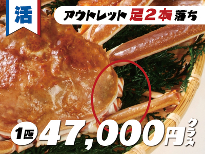 活松葉かに（足２本落ち）48,000円クラス＜2025.11.21時点：サイズ、色形、選別の相場による＞