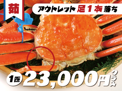 茹松葉かに（足１本落ち）＜2025.11.10時点：約1.1kg＞