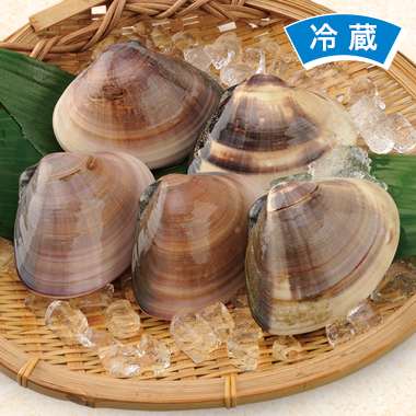 単品】活 超特大はまぐり | 深廣商店
