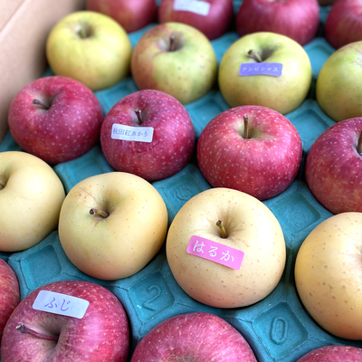 りんごミックス２０玉　約５キロ