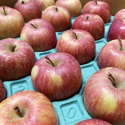 葉とらずふじ２０個入り