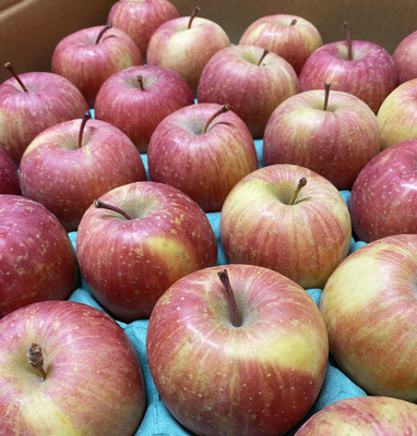 葉とらずふじ２３個入り