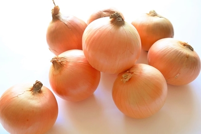 玉ねぎ(10kg)