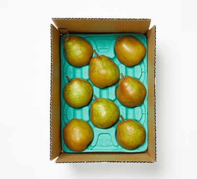 7-3 ラ・フランス3kgご家庭用(6~10玉)