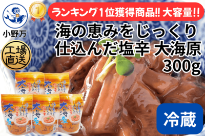 海の恵みをじっくり仕込んだ塩辛 大海原 300g 5個セット