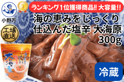 海の恵みをじっくり仕込んだ塩辛 大海原 300g