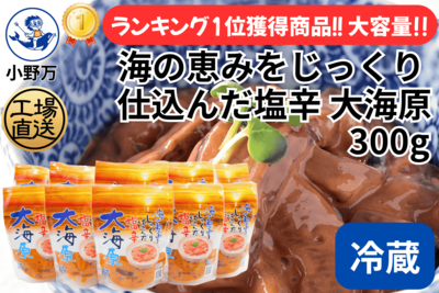 海の恵みをじっくり仕込んだ塩辛 大海原 300g 10個セット