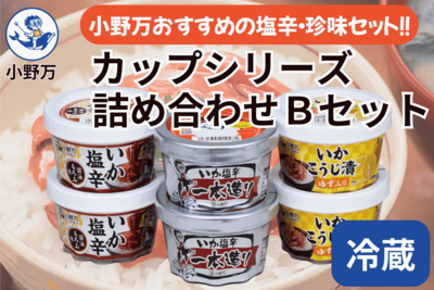 カップシリーズ 詰め合わせ Ｂセット