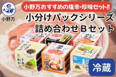 小分けパックシリーズ 詰め合わせ Ｂセット